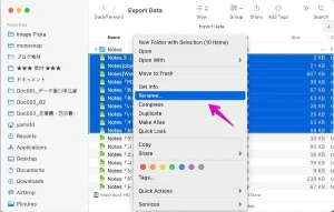 File List Export