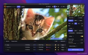 Topaz Photo Pro