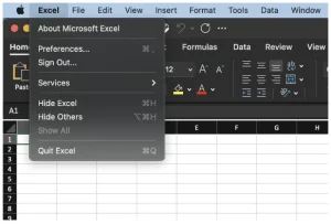 Microsoft Excel 